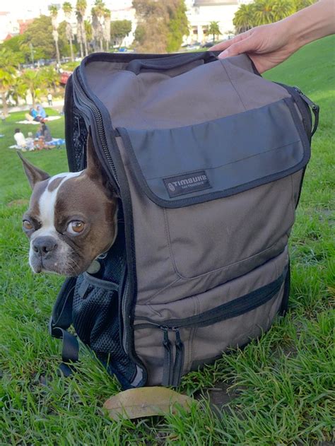 timbuk2 muttmover dog backpack.